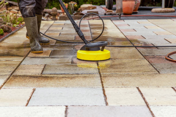 Best Warehouse Cleaning  in Ithaca, NY