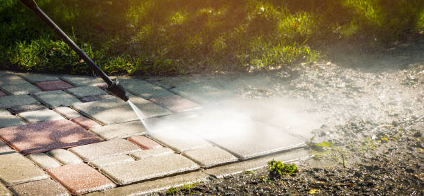 Best Animal Enclosure Cleaning  in Ithaca, NY
